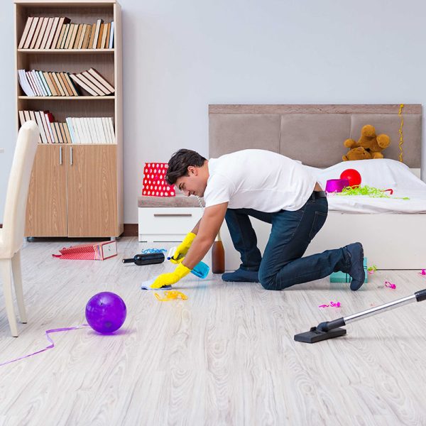 البيت تحت النخيل — شركة دايزين تاتش