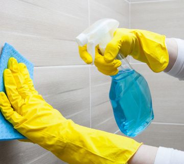 البيت الأخضر — شركة دايزين تاتش