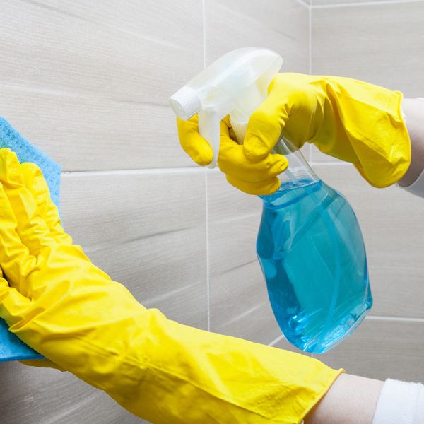 البيت الأخضر — شركة دايزين تاتش